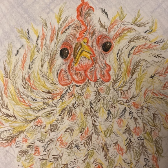 Unframed Original Art Pencil Crayon What the Cluck?! Chicken Illustration - Picture 3 of 4